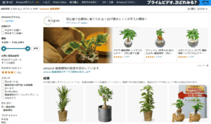 Amazonの観葉植物サイトの画像