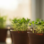 はじめての観葉植物選び 初心者が知っておくべき7つのポイント