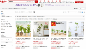 楽天市場の観葉植物のサイト画像