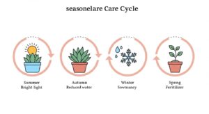 季節の変わり目における観葉植物のケア｜春夏秋冬の適切な管理方法