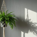 観葉植物のインテリアハンギング｜垂れ下がる植物で空間を立体的に彩る