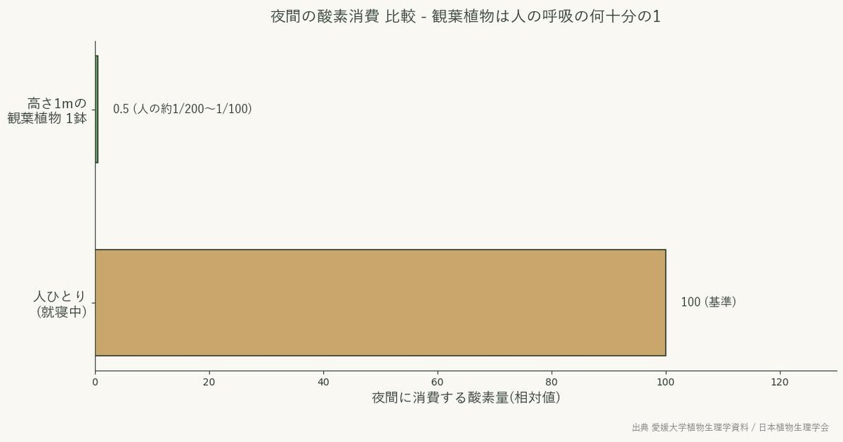 高さ1mの観葉植物1鉢と人ひとりの夜間酸素消費量の比較棒グラフ。植物は人の約1/200〜1/100