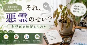 「観葉植物は生霊で枯れる」って本当?スピ・科学・AIの3軸で検証してみた
