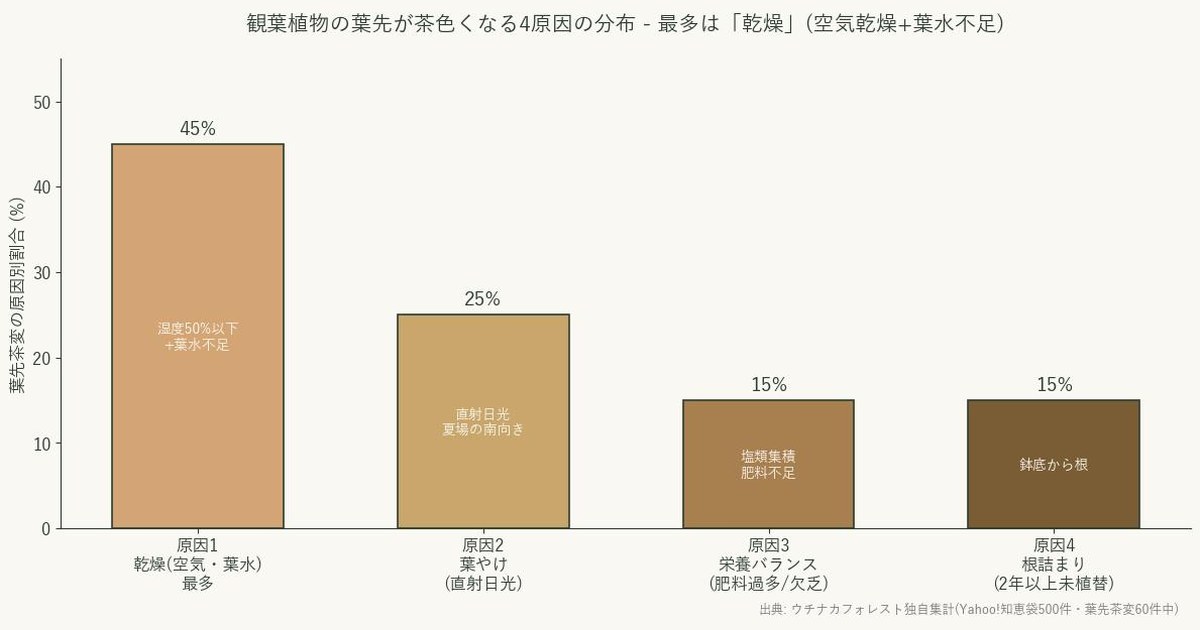 観葉植物の葉先が茶色くなる4つの原因の出現割合棒グラフ。乾燥45%・葉やけ25%・栄養バランス15%・根詰まり15%