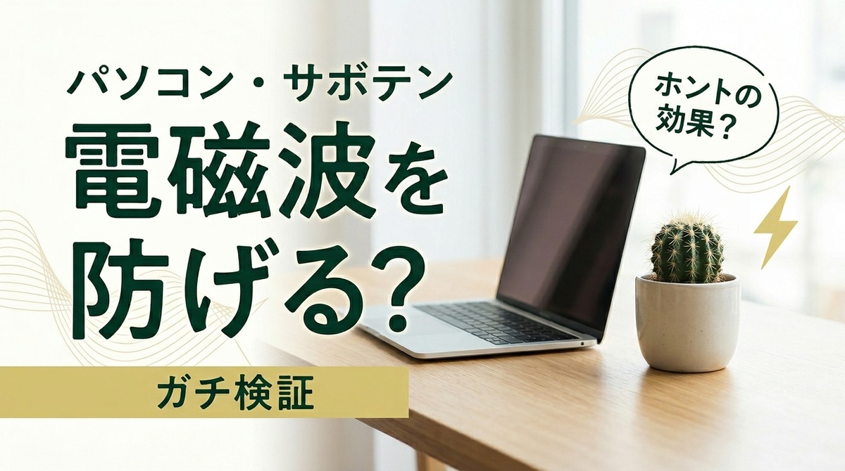 サボテンは電磁波を吸収する?実測でわかった真相と、デスクの緑の本当の価値