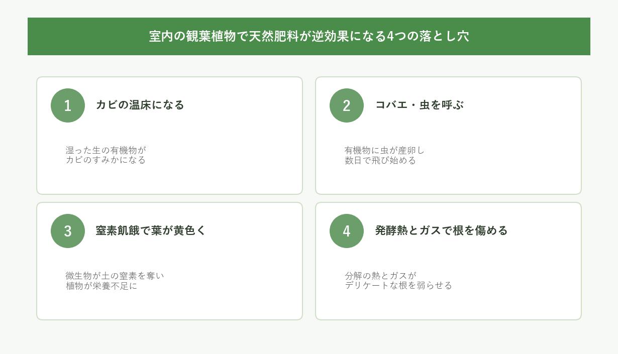 室内の観葉植物で天然肥料が逆効果になる4つの落とし穴。カビ・コバエ・窒素飢餓・発酵熱とガス