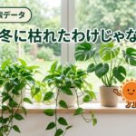 検索データ5年分を調べたら、観葉植物が「枯れる」のは冬じゃなかった話