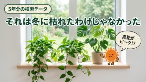 検索データ5年分を調べたら、観葉植物が「枯れる」のは冬じゃなかった話