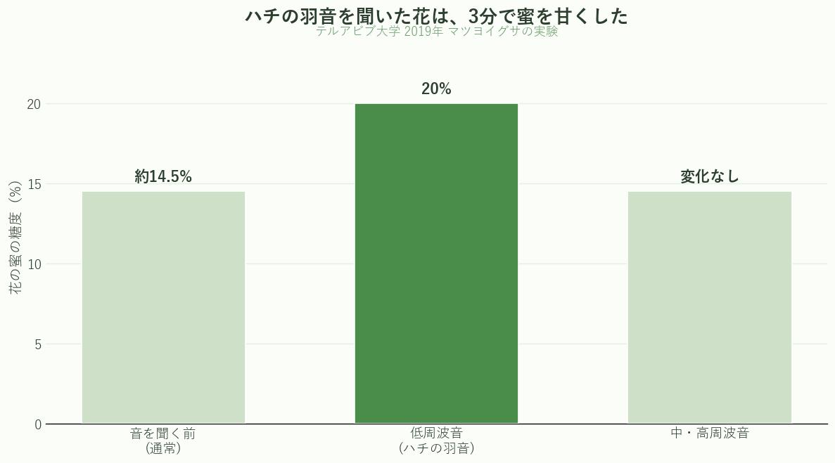 ハチの羽音を聞いた花が3分で蜜の糖度を20%に高めたテルアビブ大学の実験結果