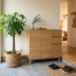 玄関の観葉植物おすすめ12選｜風水・方角の本当のところと暗くても枯らさないコツ