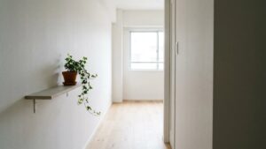 廊下と階段の観葉植物｜通路を塞がない置き方と暗さ・冬の冷えの越え方