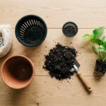 鉢底石は必要？いらない？｜観葉植物の鉢と土で決まる判断基準と正しい入れ方